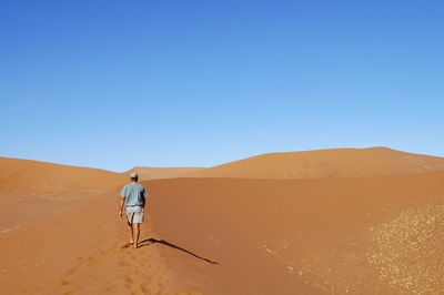 Rear view of person in desert against clear sky