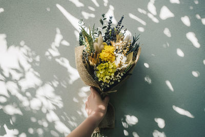 Cropped hand holding plant