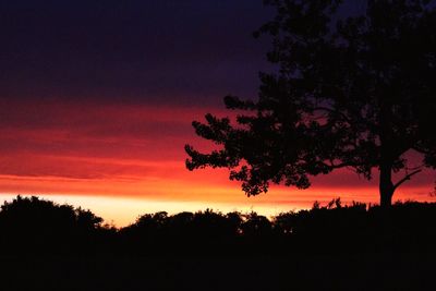 Silhouette trees against sky during sunset