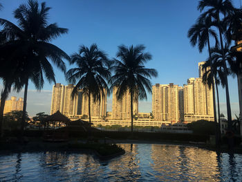 Palm trees by swimming pool in city against clear sky