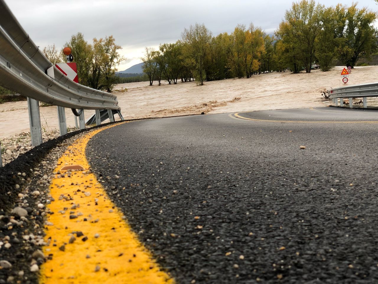 SURFACE LEVEL OF ROAD BY TREES