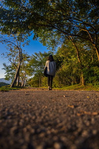 Rear view of woman walking on street amidst trees