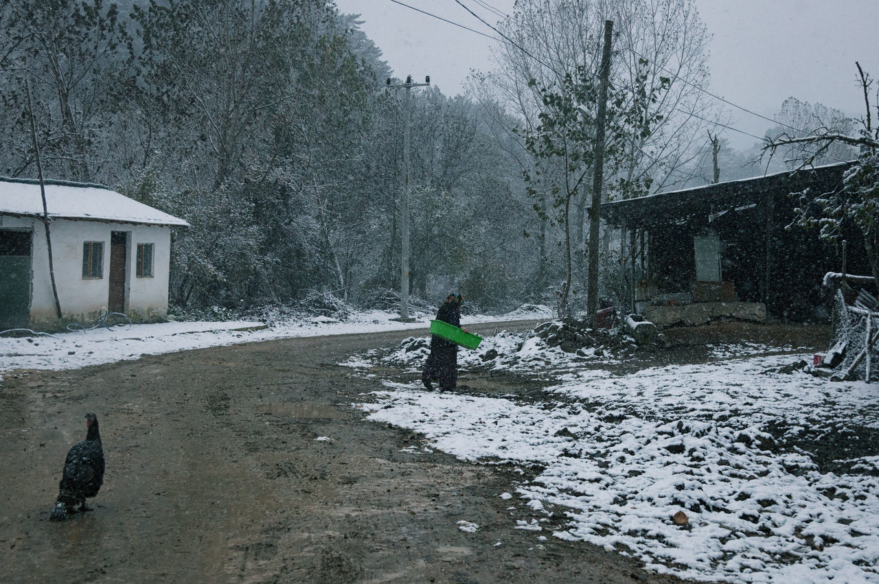 MAN WITH HORSE AGAINST SKY