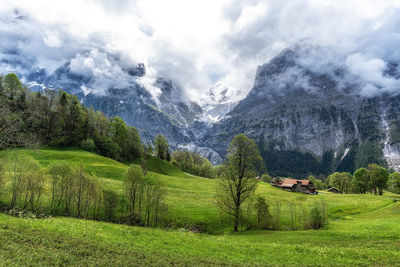 Panoramic view of trees and mountains against sky