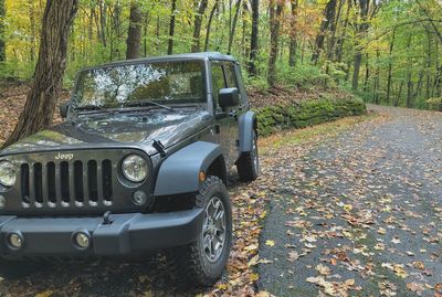 Car in forest