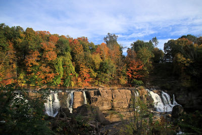 Scenic view of forest against sky during autumn