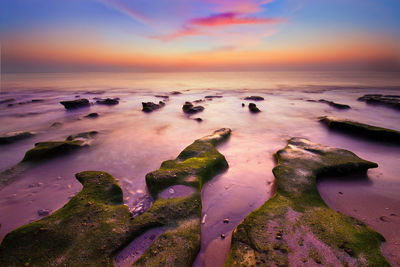 Scenic view of sea during sunset