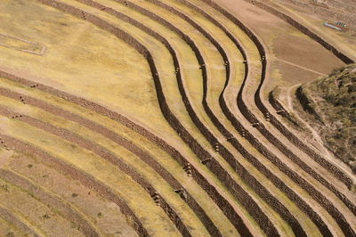 High angle view of agricultural field