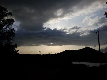 Silhouette of trees at sunset