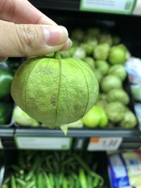 Baby green pumpkin 