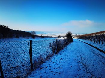 Scenic view of snow covered field against blue sky