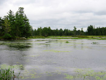 Scenic view of lake against sky