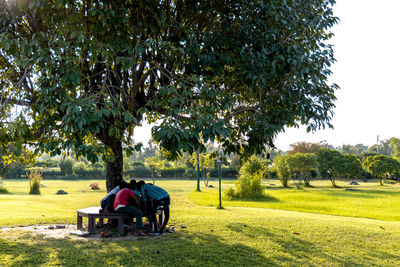 Rear view of man sitting on seat in park