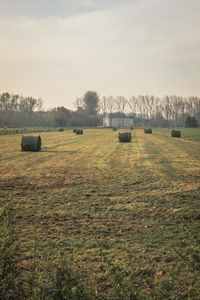 Hay bales on field against sky