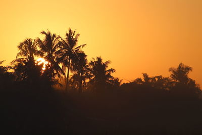 Silhouette trees against sky during sunset