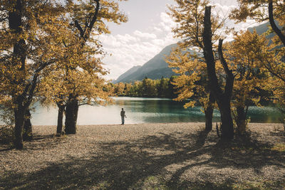 Scenic view of lake by trees against sky