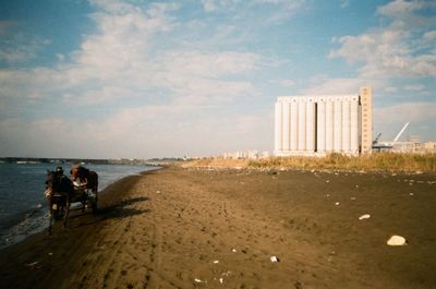 Horse cart at beach