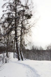 Bare trees on snow covered field against sky