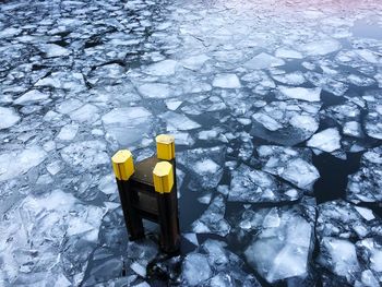 Close-up of yellow snow on rock