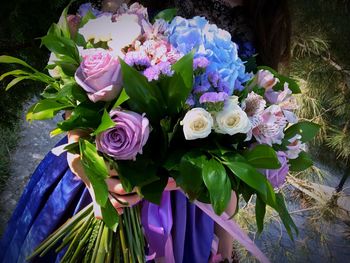 Close-up of purple roses