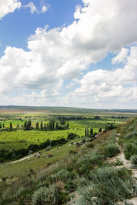 Scenic view of field against sky