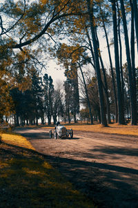 Kart racing vintage style