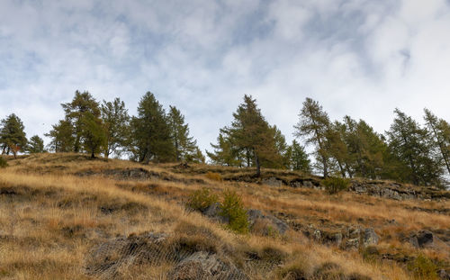 Autumn in schilpario, italy.