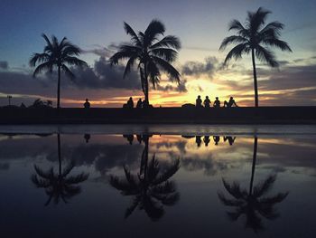 Silhouette of palm trees on swimming pool