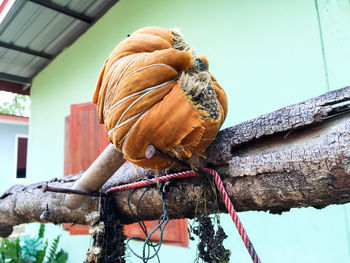 Low angle view of orange tied up hammer on wood against house