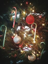 Decorated christmas tree at night