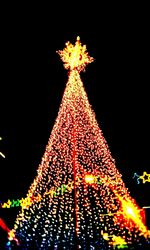 Low angle view of illuminated christmas tree