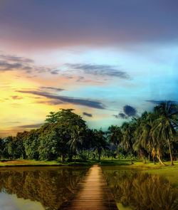 Footpath amidst trees on field against sky during sunset