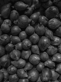 Full frame shot of blueberries