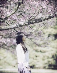 Rear view of woman standing under cherry blossom trees