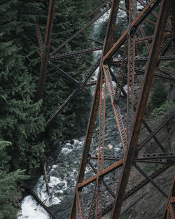 Low angle view of metal bridge in forest