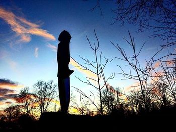 Silhouette of bare tree at sunset