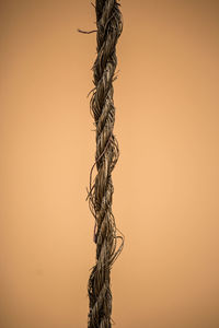 Close-up of rope hanging against orange sky