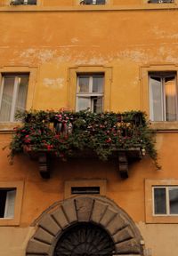 Potted plants outside house