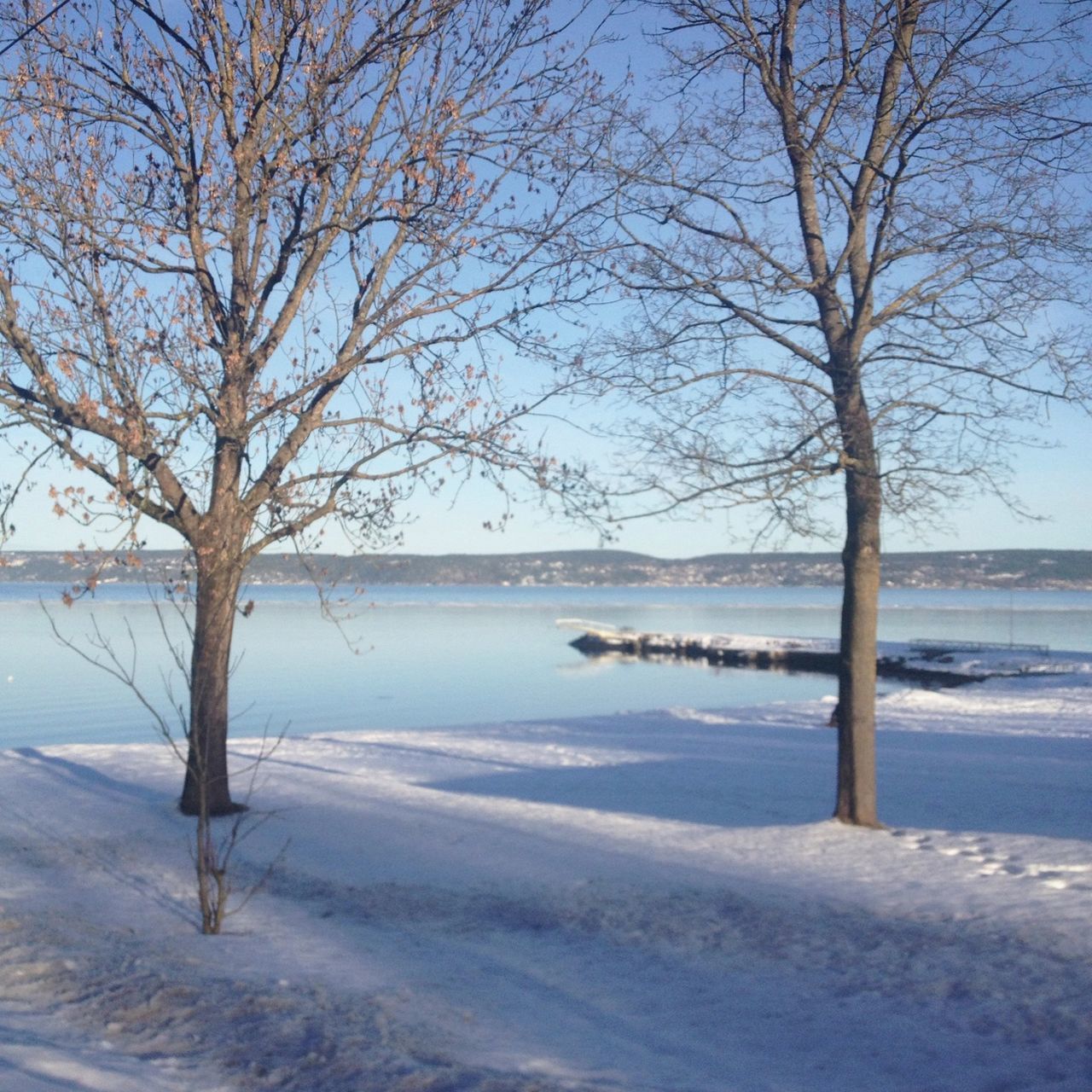 snow, winter, cold temperature, bare tree, tree, tranquil scene, tranquility, scenics, beauty in nature, nature, water, branch, season, weather, landscape, sky, tree trunk, beach, frozen, non-urban scene