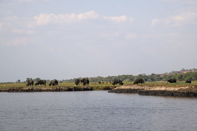 Scenic view of lake against sky