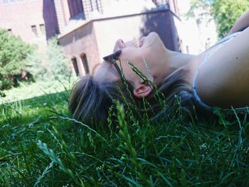 Plants growing on grassy field