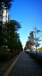 Trees against clear sky