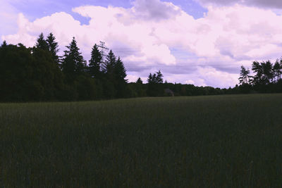 Scenic view of field against sky