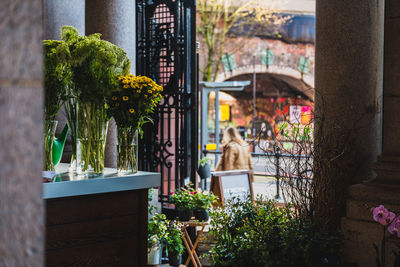 Potted plants against building