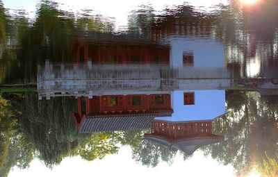 Reflection of trees in water