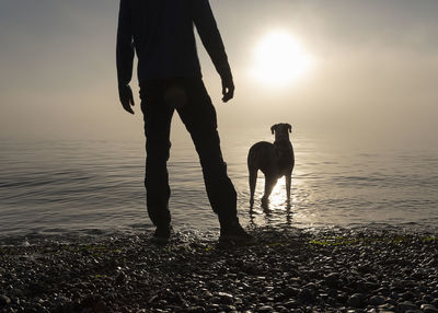 Silhouette man and dog on shore at beach against sky during sunset