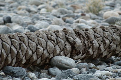 View of rocks on beach