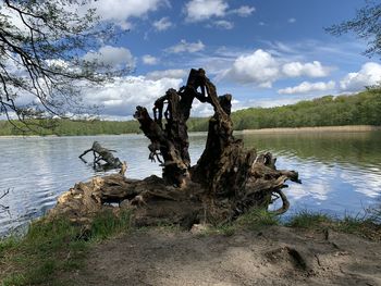 View of birds on lakeshore against cloudy sky