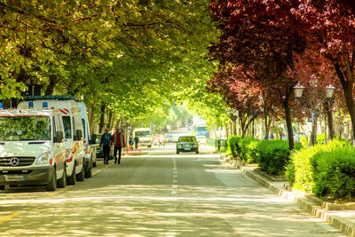 Traffic on road in city
