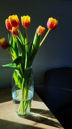 Close-up of red flowers